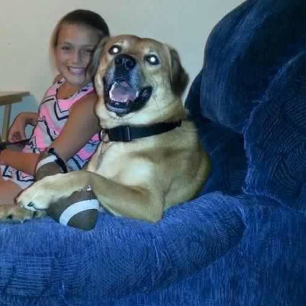 Meet your Posher, Lindsey